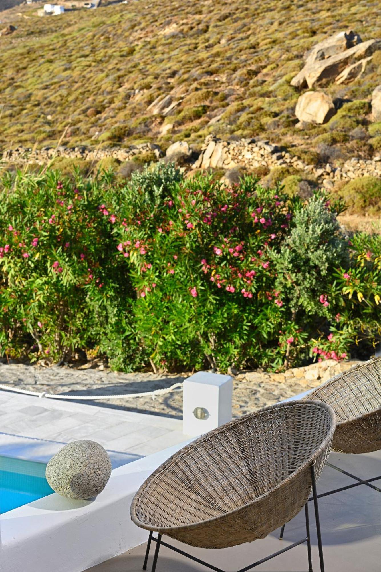 Mykonos Dream Villas Ftelia  Exterior photo